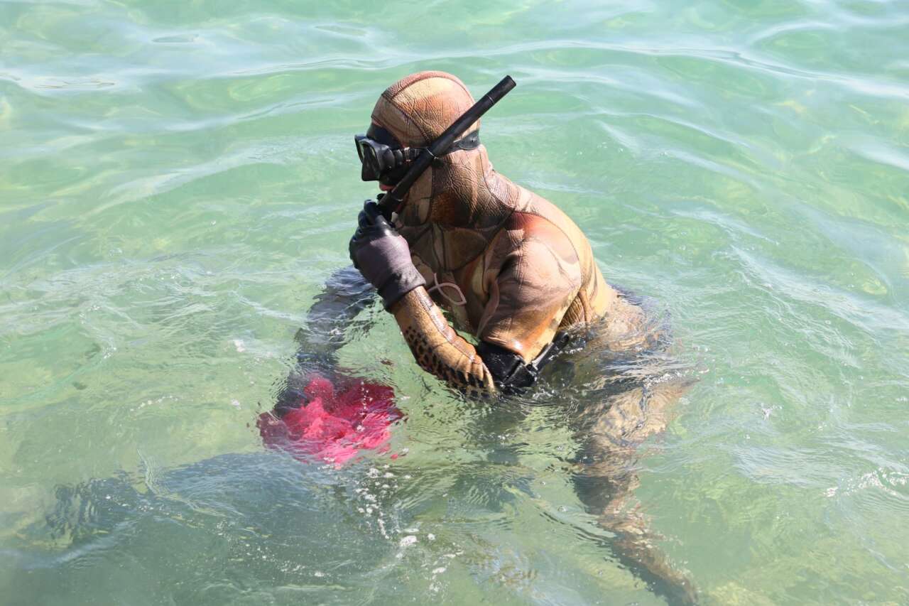 Bodrum’da Deniz Dibinden 75 Kilogram Atık Çıkarıldı 3